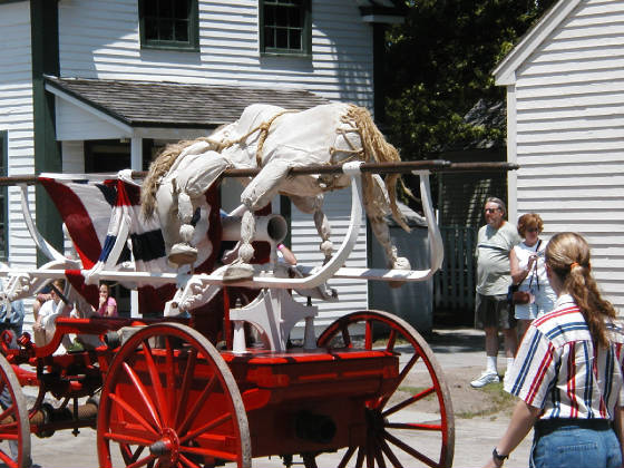 paradehorse.jpg